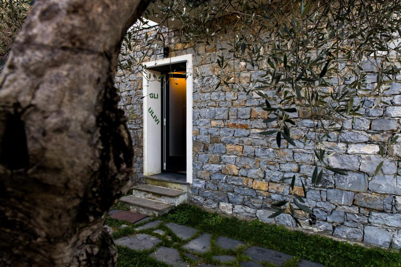 Agri Bed - L'Affittacamere In Collina - Guest Room On The Hill Lavagna Eksteriør billede