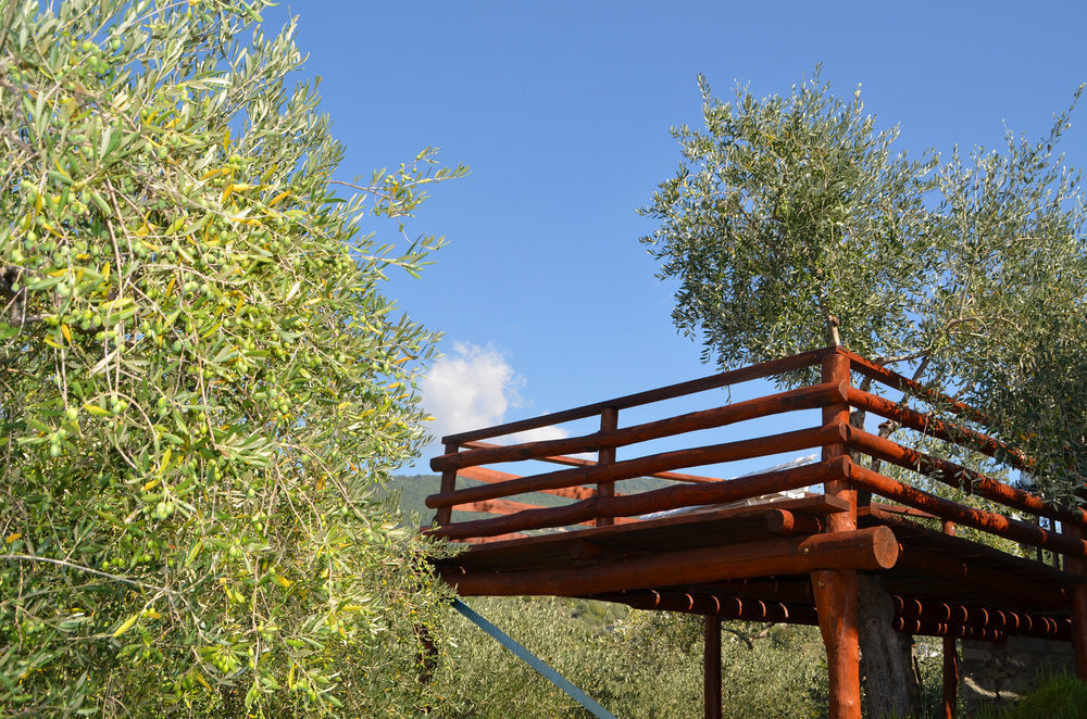 Agri Bed - L'Affittacamere In Collina - Guest Room On The Hill Lavagna Eksteriør billede